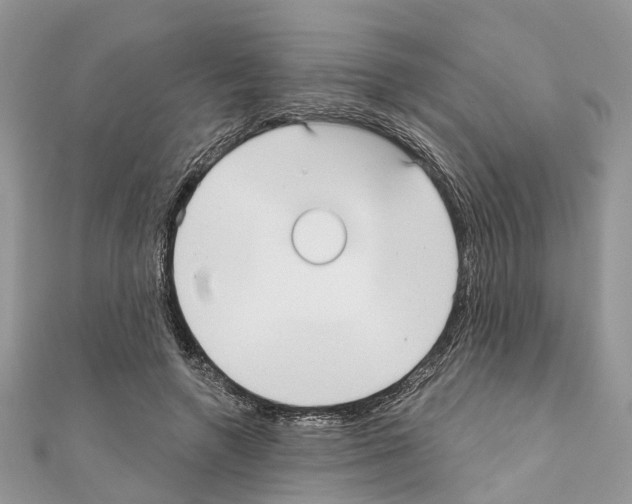 X0000110720546200907241209