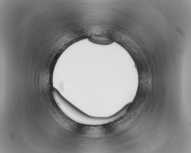 X0000110720548200907241209