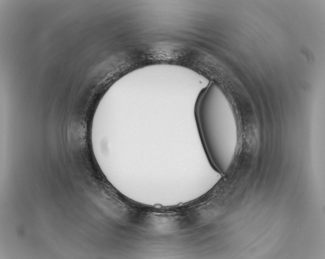 X0000110720556200907241209