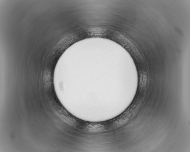 X0000110720557200907241209