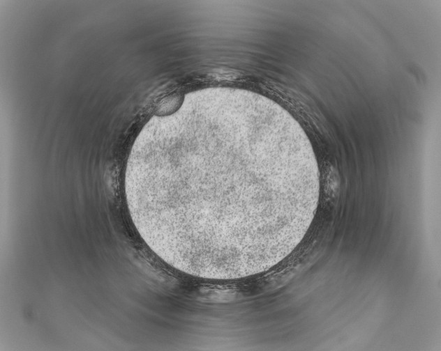 X0000110720559200907241209