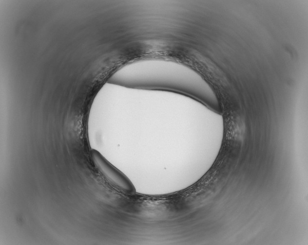 X0000110720560200907241209