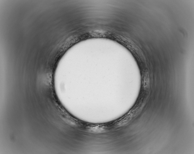 X0000110720561200907241209