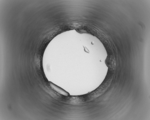 X0000110720562200907241209