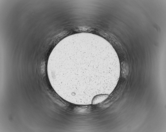 X0000110720563200907241209