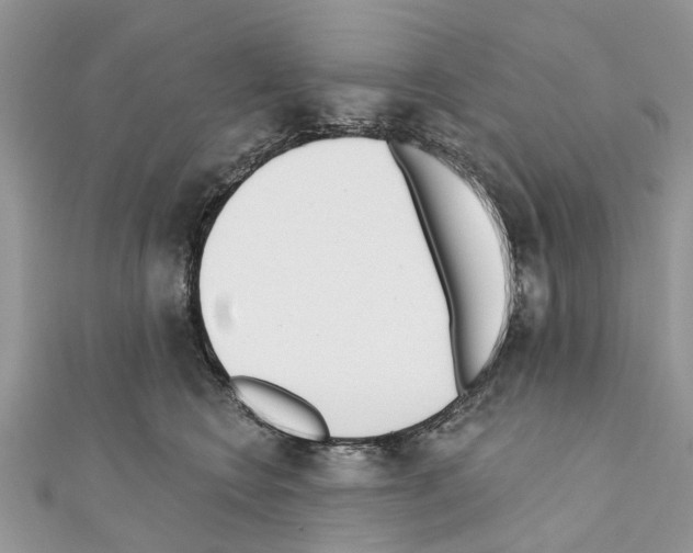 X0000110720566200907241209