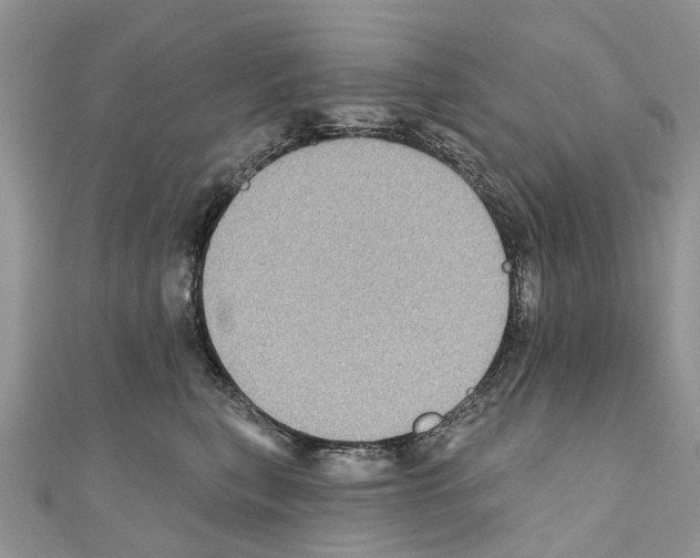 X0000110720567200907241209