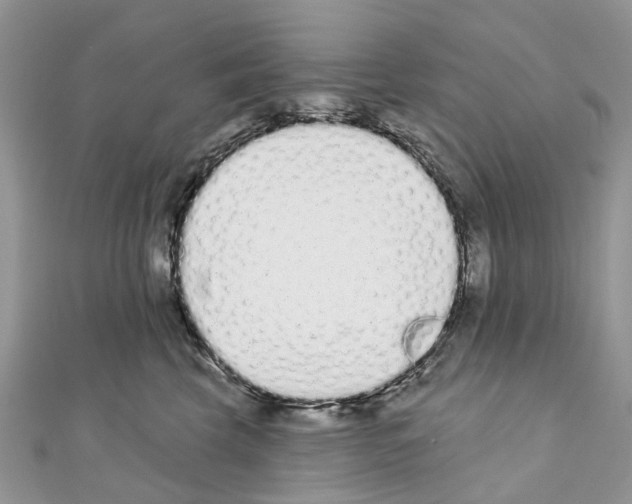 X0000110720569200907241209