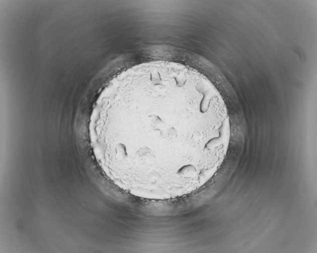 X0000110720573200907241209