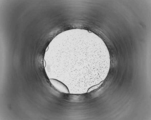 X0000110720575200907241209