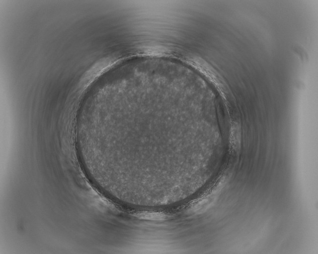 X0000110720577200907241209