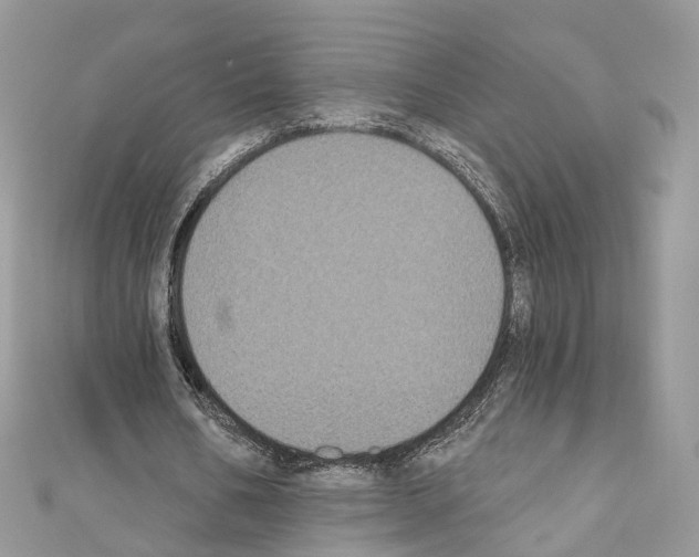 X0000110720578200907241209