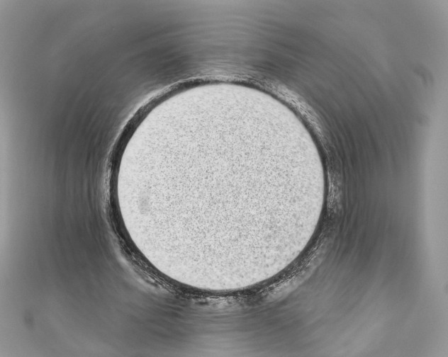 X0000110720580200907241209