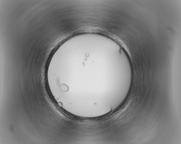 X0000110720581200907241209