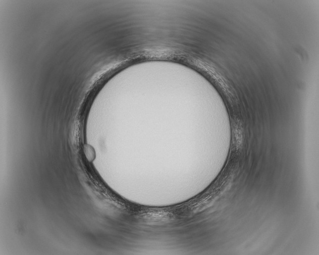 X0000110720583200907241209