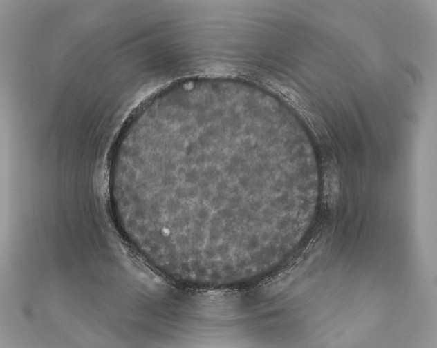 X0000110720584200907241209