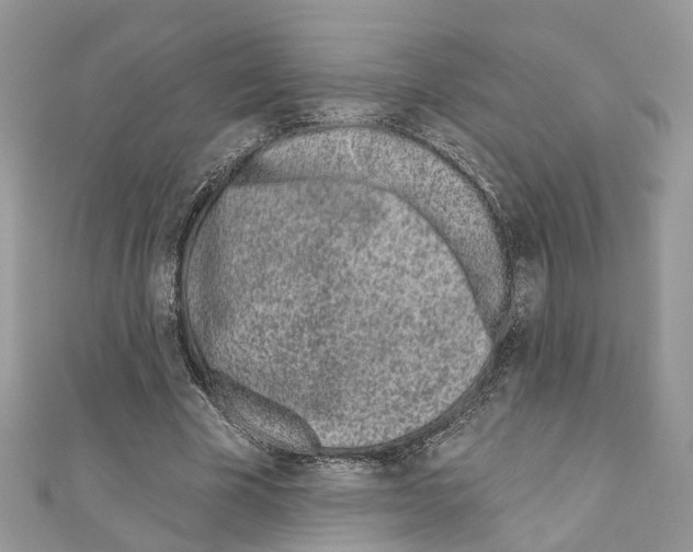 X0000110720585200907241208