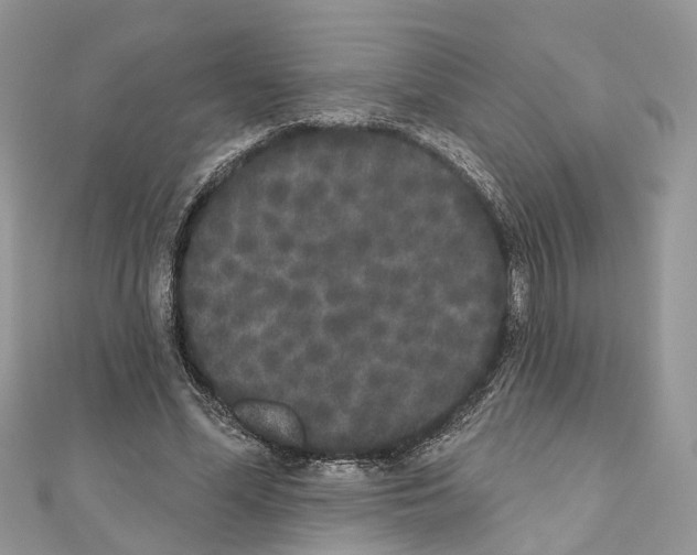 X0000110720588200907241208