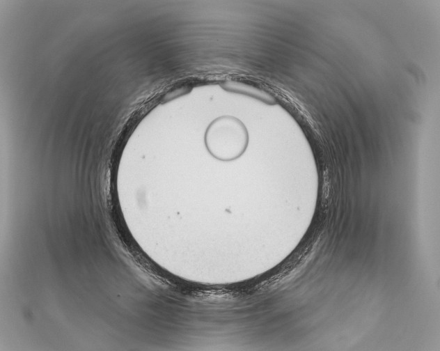 X0000110720589200907241208