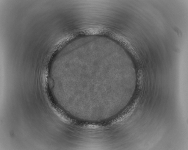 X0000110720590200907241208