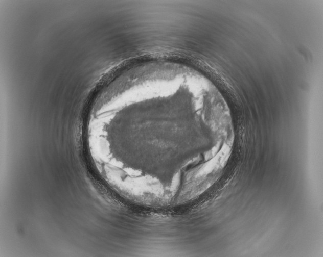 X0000110720592200907241208