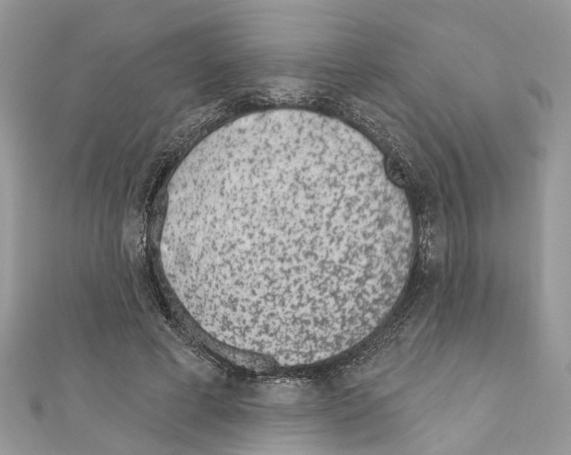 X0000110720593200907241208