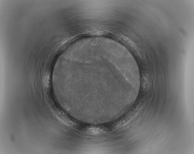 X0000110720596200907241208