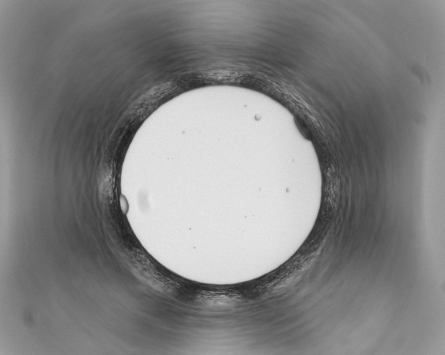 X0000110720597200907241208