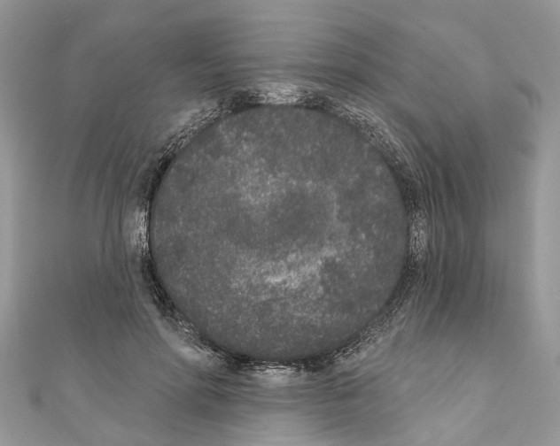 X0000110720598200907241208