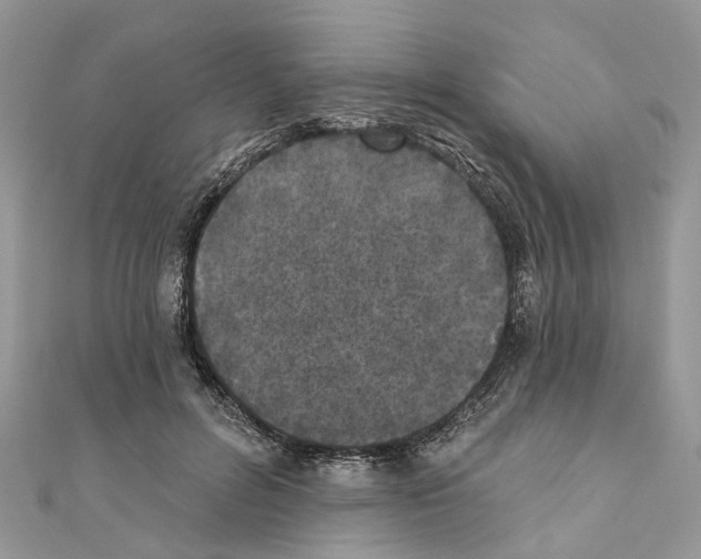 X0000110720600200907241208