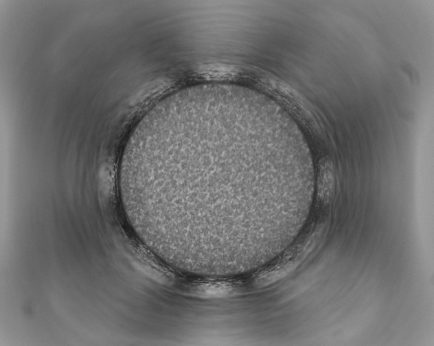 X0000110720604200907241208