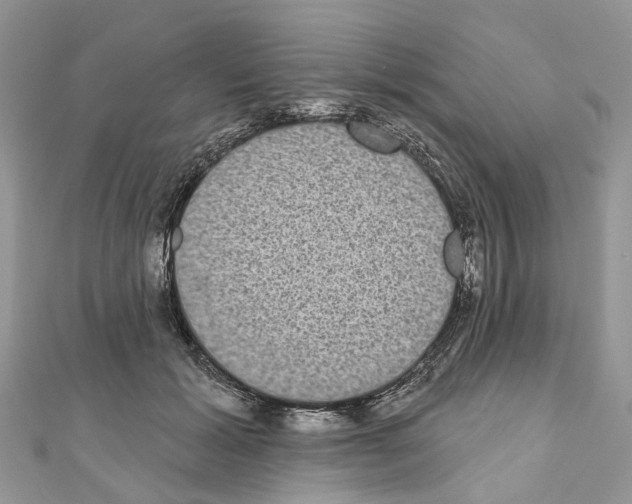 X0000110720605200907241208