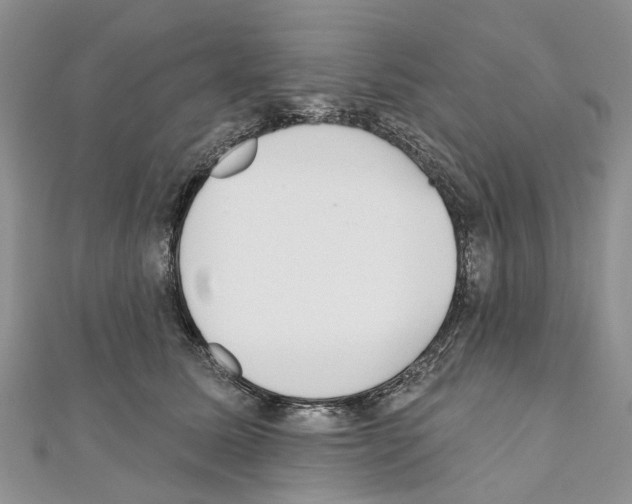 X0000110720611200907241208