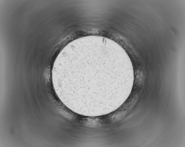 X0000110720612200907241208