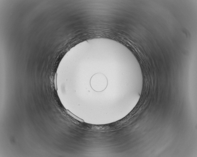 X0000110720613200907241208