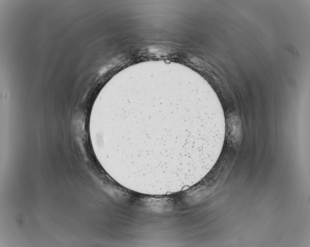 X0000110720615200907241208