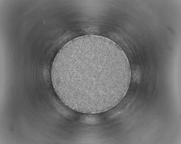 X0000110720618200907241208