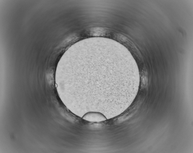 X0000110720620200907241208