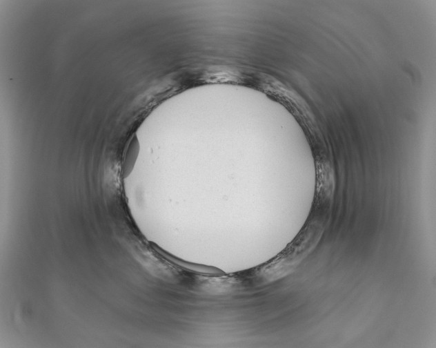 X0000110720621200907241208