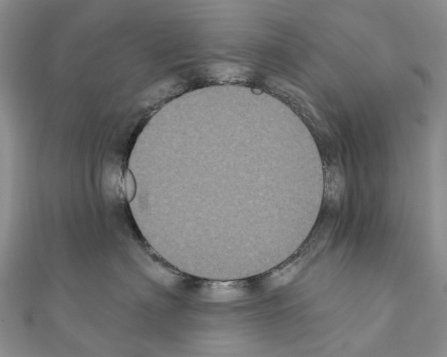 X0000110720622200907241208