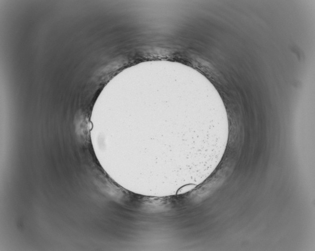 X0000110720624200907241208