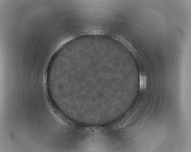 X0000110720627200907241207