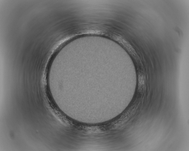 X0000110720628200907241207