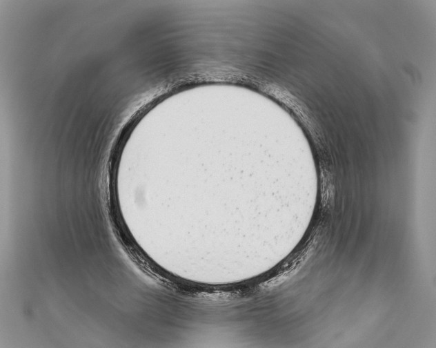 X0000110720630200907241207