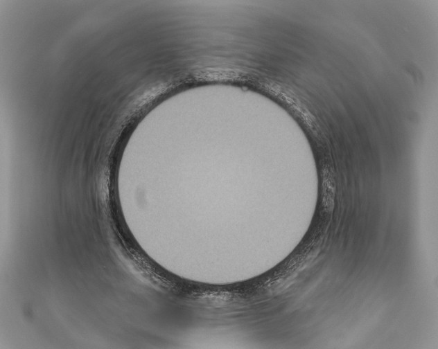 X0000110720631200907241207