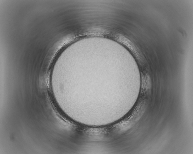 X0000110720632200907241207