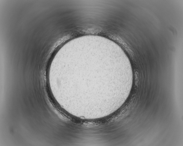 X0000110720634200907241207