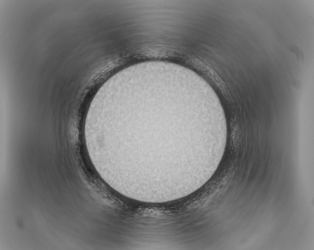 X0000110720635200907241207