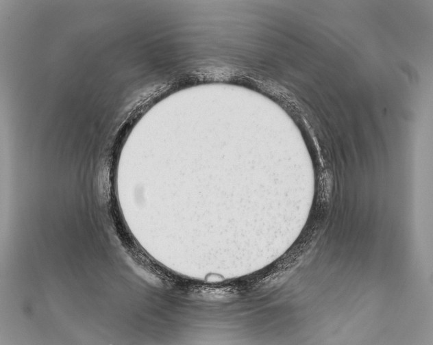 X0000110720638200907241208