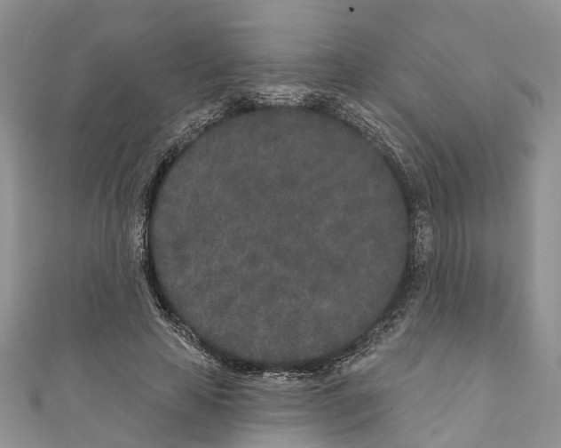 X0000110720641200907241208